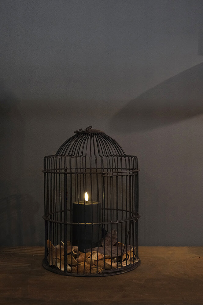 Tweet Vogelkäfig